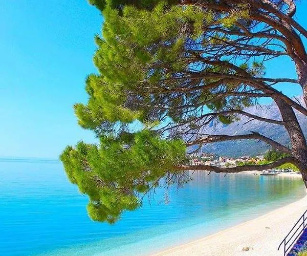 Helena * Gradac (Split-Dalmatia)