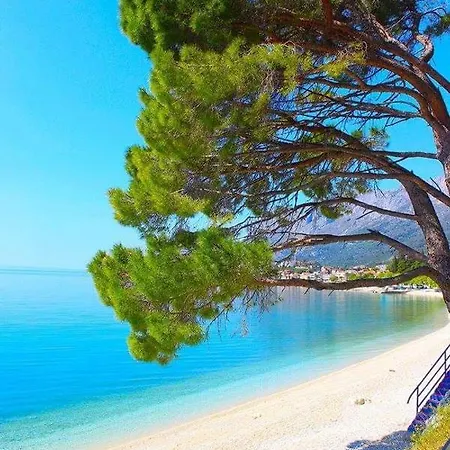 Helena * Gradac (Split-Dalmatia)